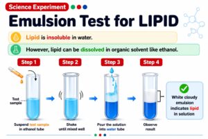 Emulsion test lipid