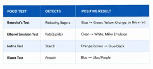 Food test result table infographic