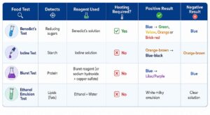 Food tests and results infographic