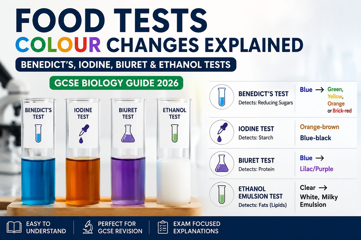 Food Tests Colour Changes Explained: Benedict’s, Iodine, Biuret & Ethanol Tests (GCSE Biology Guide 2026)